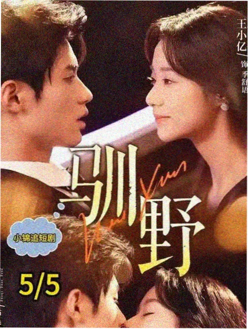 悬疑与情感混搭书单封面